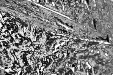 Soyut arkaplan. Monokrom dokusu. Siyah ve beyaz desenli arkaplan. 