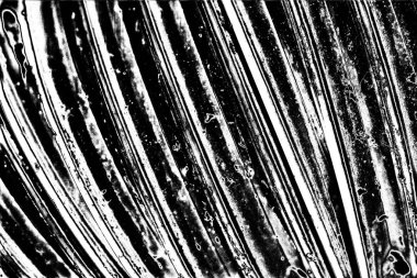 Soyut arkaplan. Monokrom dokusu. Siyah ve beyaz desenli arkaplan. 