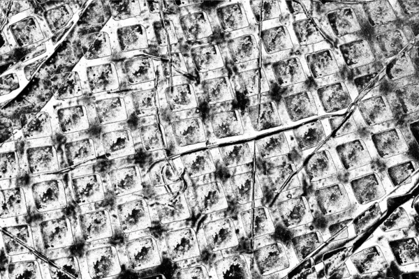 Soyut arkaplan. Monokrom dokusu. Siyah ve beyaz desenli arkaplan. 