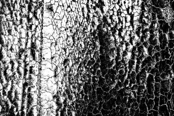 Abstraktní Pozadí Monochromní Textura Černobílé Texturované Pozadí — Stock fotografie