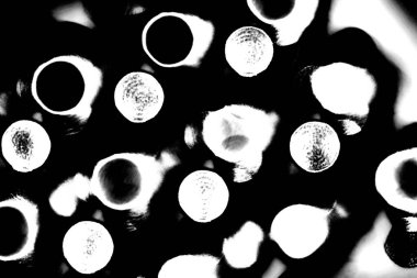 Soyut arkaplan. Monokrom dokusu. Siyah ve beyaz desenli arkaplan. 