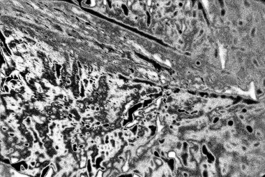 Soyut arkaplan. Monokrom dokusu. Siyah ve beyaz desenli arkaplan. 