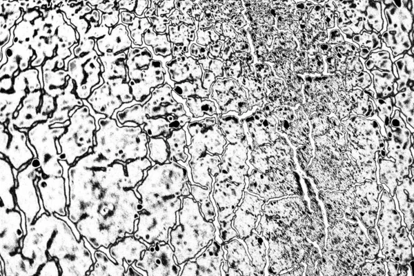 Абстрактный Фон Монохромная Текстура Черно Белый Текстурированный Фон — стоковое фото