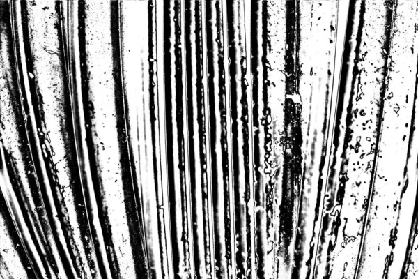 Fondo Abstracto Textura Monocromática Fondo Texturizado Blanco Negro —  Fotos de Stock