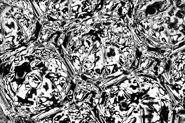 Soyut arkaplan. Monokrom dokusu. Siyah ve beyaz desenli arkaplan. 