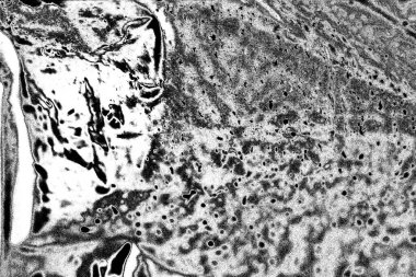 Soyut arkaplan. Monokrom dokusu. Siyah ve beyaz desenli arkaplan. 