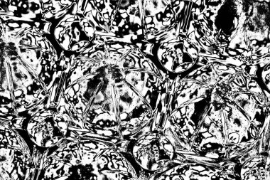 Soyut arkaplan. Monokrom dokusu. Siyah ve beyaz desenli arkaplan. 