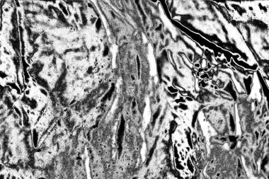 Soyut arkaplan. Monokrom dokusu. Siyah ve beyaz desenli arkaplan. 