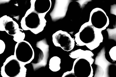 Soyut arkaplan. Monokrom dokusu. Siyah ve beyaz desenli arkaplan. 