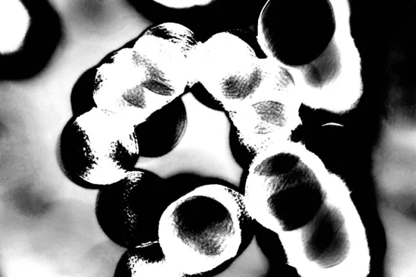 Fondo Abstracto Textura Monocromática Fondo Texturizado Blanco Negro —  Fotos de Stock