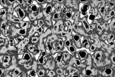 Soyut arkaplan. Monokrom dokusu. Siyah ve beyaz desenli arkaplan. 
