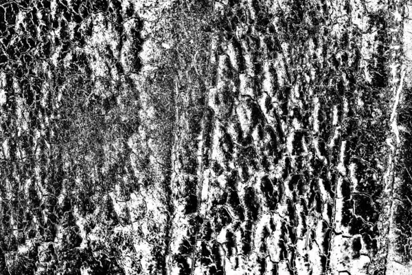 Contexte Abstrait Texture Monochrome Fond Texturé Noir Blanc — Photo