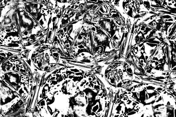 Soyut arkaplan. Monokrom dokusu. Siyah ve beyaz desenli arkaplan. 