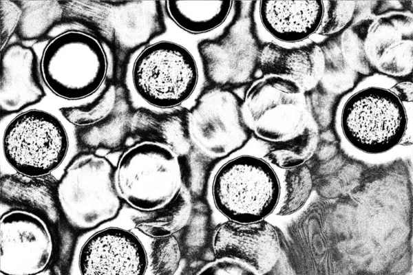 Абстрактный Фон Монохромная Текстура Черно Белый Текстурированный Фон — стоковое фото