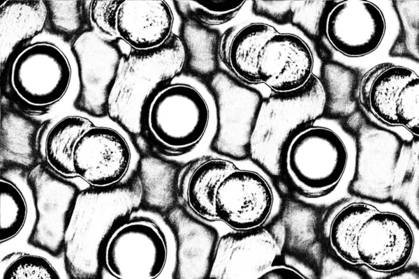 Abstrakt Bakgrund Monokrom Konsistens Svart Och Vit Strukturerad Bakgrund — Stockfoto