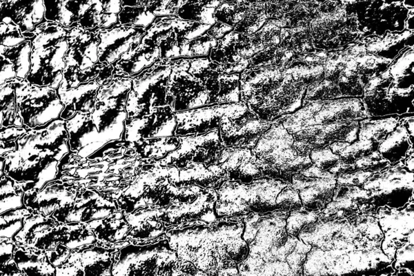 Fondo Abstracto Textura Monocromática Fondo Texturizado Blanco Negro —  Fotos de Stock