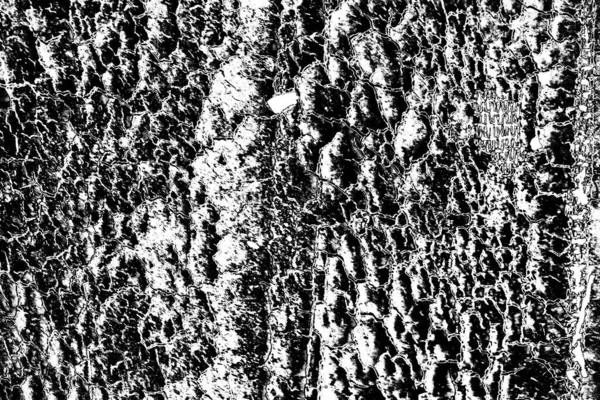 Abstrakti Tausta Yksivärinen Rakenne Musta Valkoinen Kuvioitu Tausta — kuvapankkivalokuva