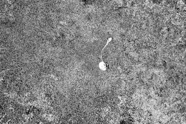 Soyut arkaplan. monokrom dokusu. resim siyah ve beyaz tonları içerir.