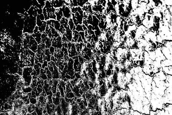 Fondo Abstracto Textura Monocromática Fondo Texturizado Blanco Negro —  Fotos de Stock