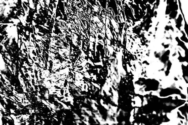 Fondo Abstracto Textura Monocromática Fondo Texturizado Blanco Negro —  Fotos de Stock