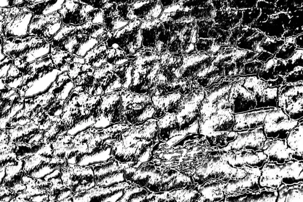 Abstract Background Monochrome Texture Black White Textured Background — Stock Photo, Image