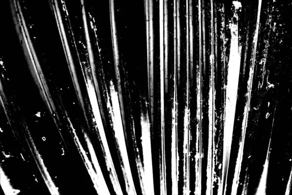 Fondo Abstracto Textura Monocromática Fondo Texturizado Blanco Negro —  Fotos de Stock