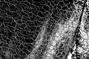 Soyut arkaplan. Monokrom dokusu. Siyah ve beyaz desenli arkaplan. 