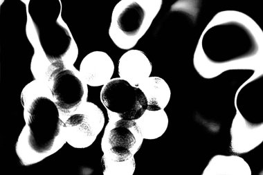 Soyut arkaplan. Monokrom dokusu. Siyah ve beyaz desenli arkaplan. 