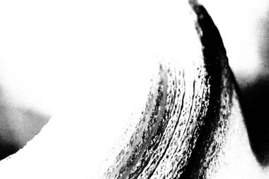 Soyut arkaplan. Monokrom dokusu. Siyah ve beyaz desenli arkaplan. 