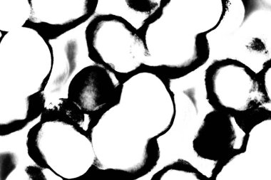 Soyut arkaplan. Monokrom dokusu. Siyah ve beyaz desenli arkaplan. 