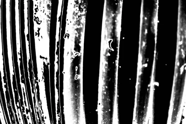 Fondo Abstracto Textura Monocromática Fondo Texturizado Blanco Negro — Foto de Stock