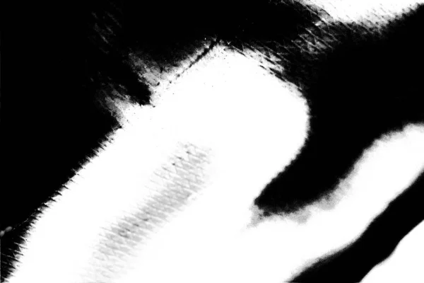 Contexte Abstrait Texture Monochrome Fond Texturé Noir Blanc — Photo