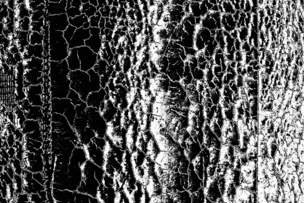 Abstracte Achtergrond Monochrome Textuur Zwart Wit Textuur Achtergrond — Stockfoto