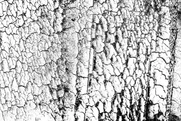 Contexte Abstrait Texture Monochrome Fond Texturé Noir Blanc — Photo