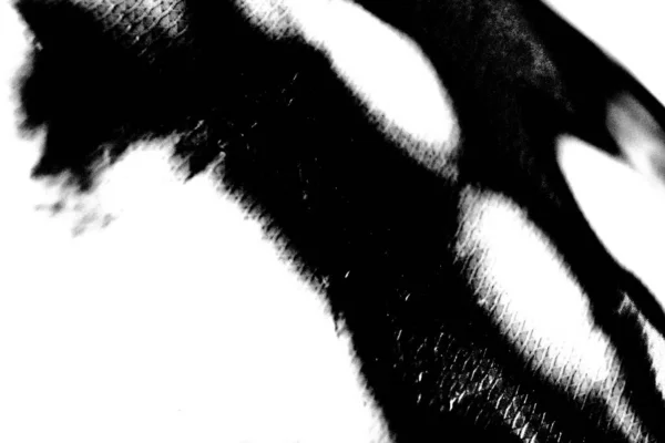 Contexte Abstrait Texture Monochrome Fond Texturé Noir Blanc — Photo