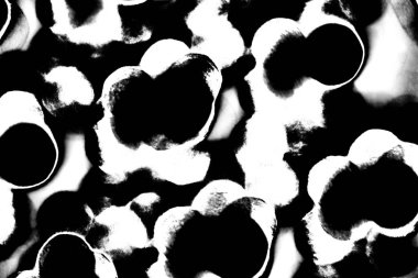 Soyut arkaplan. Monokrom dokusu. Siyah ve beyaz desenli arkaplan. 