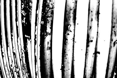 Soyut arkaplan. Monokrom dokusu. Siyah ve beyaz desenli arkaplan. 