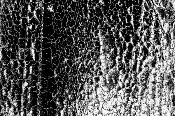 Abstracte Achtergrond Monochrome Textuur Zwart Wit Textuur Achtergrond — Stockfoto