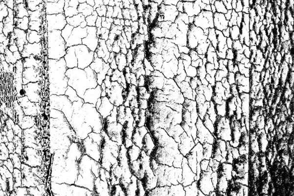 Fondo Abstracto Textura Monocromática Fondo Texturizado Blanco Negro — Foto de Stock