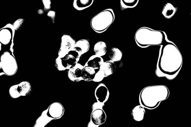 Soyut arkaplan. Monokrom dokusu. Siyah ve beyaz desenli arkaplan. 