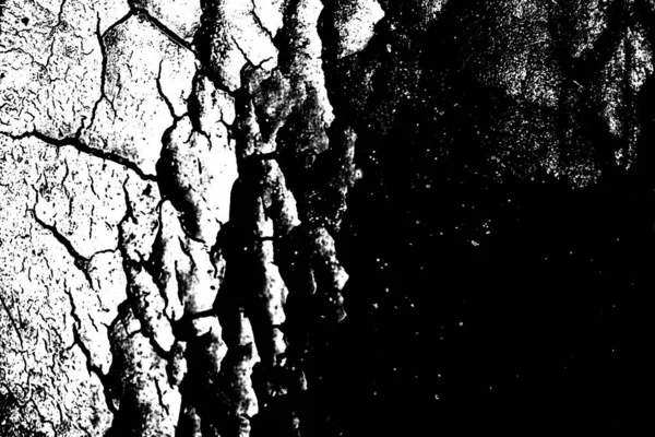 Contexte Abstrait Texture Monochrome Fond Texturé Noir Blanc — Photo