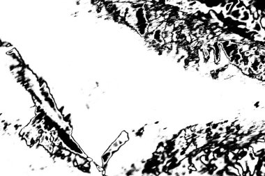 Soyut arkaplan. Monokrom dokusu. Siyah ve beyaz desenli arkaplan. 