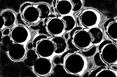 Soyut arkaplan. Monokrom dokusu. Siyah ve beyaz desenli arkaplan. 