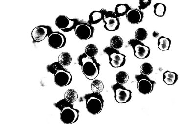 Soyut arkaplan. Monokrom dokusu. Siyah ve beyaz desenli arkaplan. 