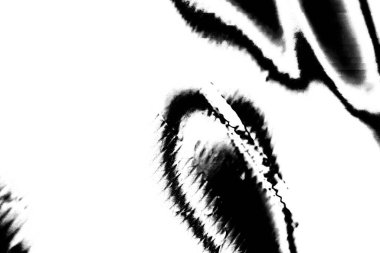 Soyut arkaplan. Monokrom dokusu. Siyah ve beyaz desenli arkaplan. 