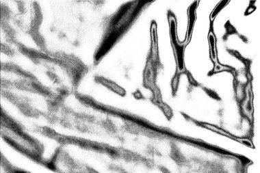 Soyut arkaplan. Monokrom dokusu. Siyah ve beyaz desenli arkaplan. 