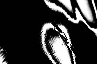 Soyut arkaplan. Monokrom dokusu. Siyah ve beyaz desenli arkaplan. 