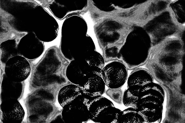 Абстрактный Фон Монохромная Текстура Черно Белый Текстурированный Фон — стоковое фото
