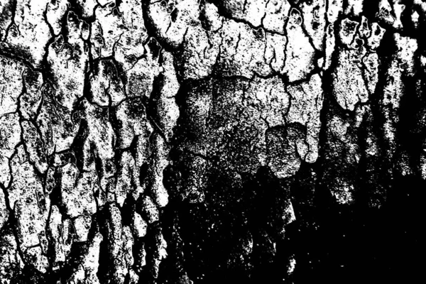 Contexte Abstrait Texture Monochrome Fond Texturé Noir Blanc — Photo