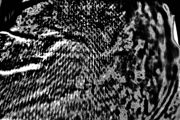 Fondo Abstracto Textura Monocromática Fondo Texturizado Blanco Negro —  Fotos de Stock